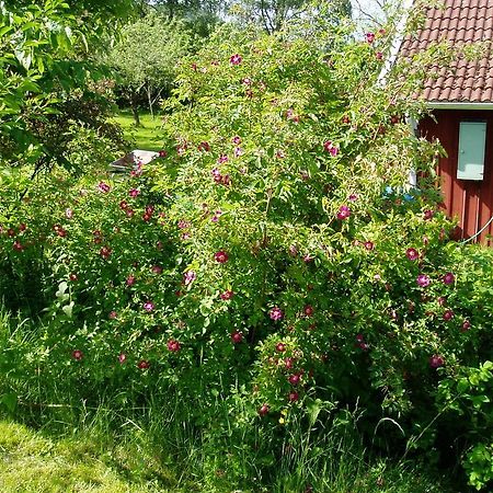 Langesater B&B Lerdala Экстерьер фото