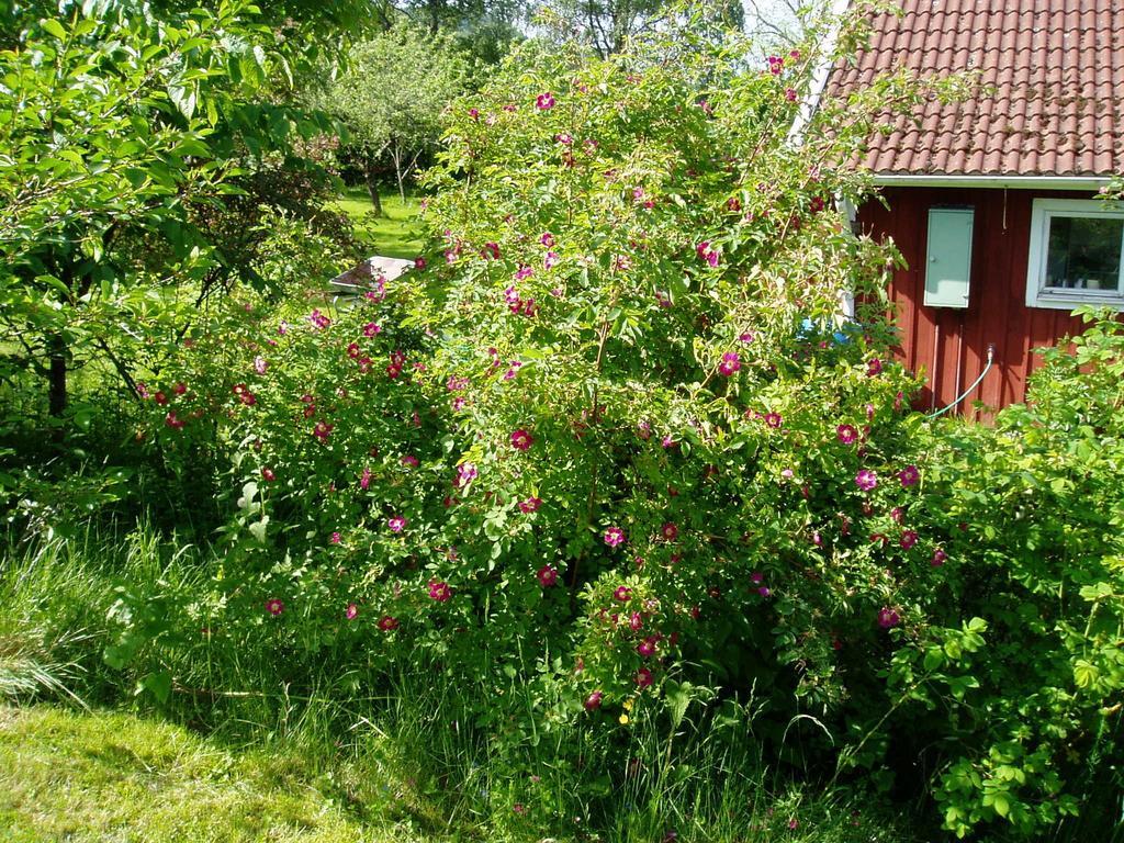 Langesater B&B Lerdala Экстерьер фото